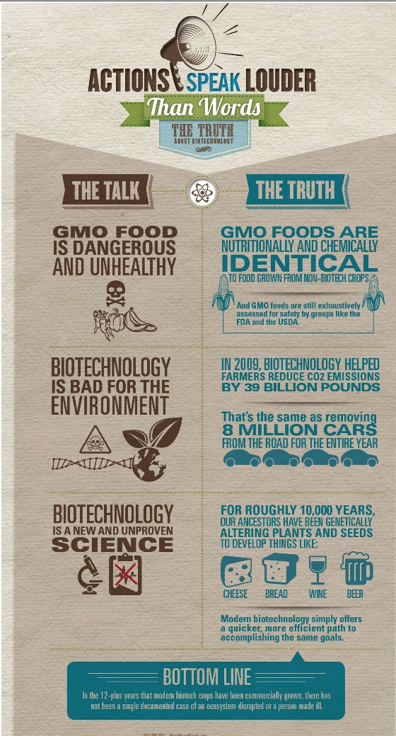 GMO Info graphics
